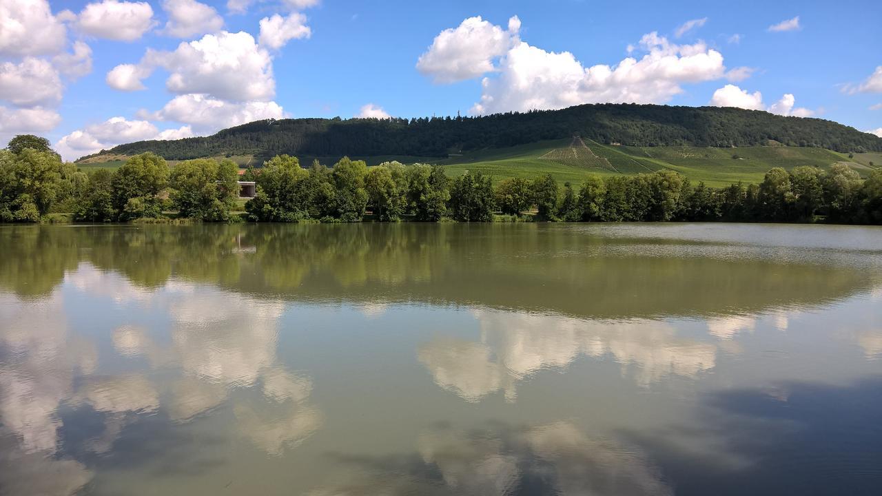 Das Kleine Hotel Iphofen, Fruehstueckszauber, No Waste, Nachhaltig, Nahe Aller Weingueter, Knauf Gips Kg Und Connekt, Kleines Secret Mit Garten & Terrassen, Tv Mirrorring, 55" Tv, Fine Dining, Hunde Willkommen Экстерьер фото